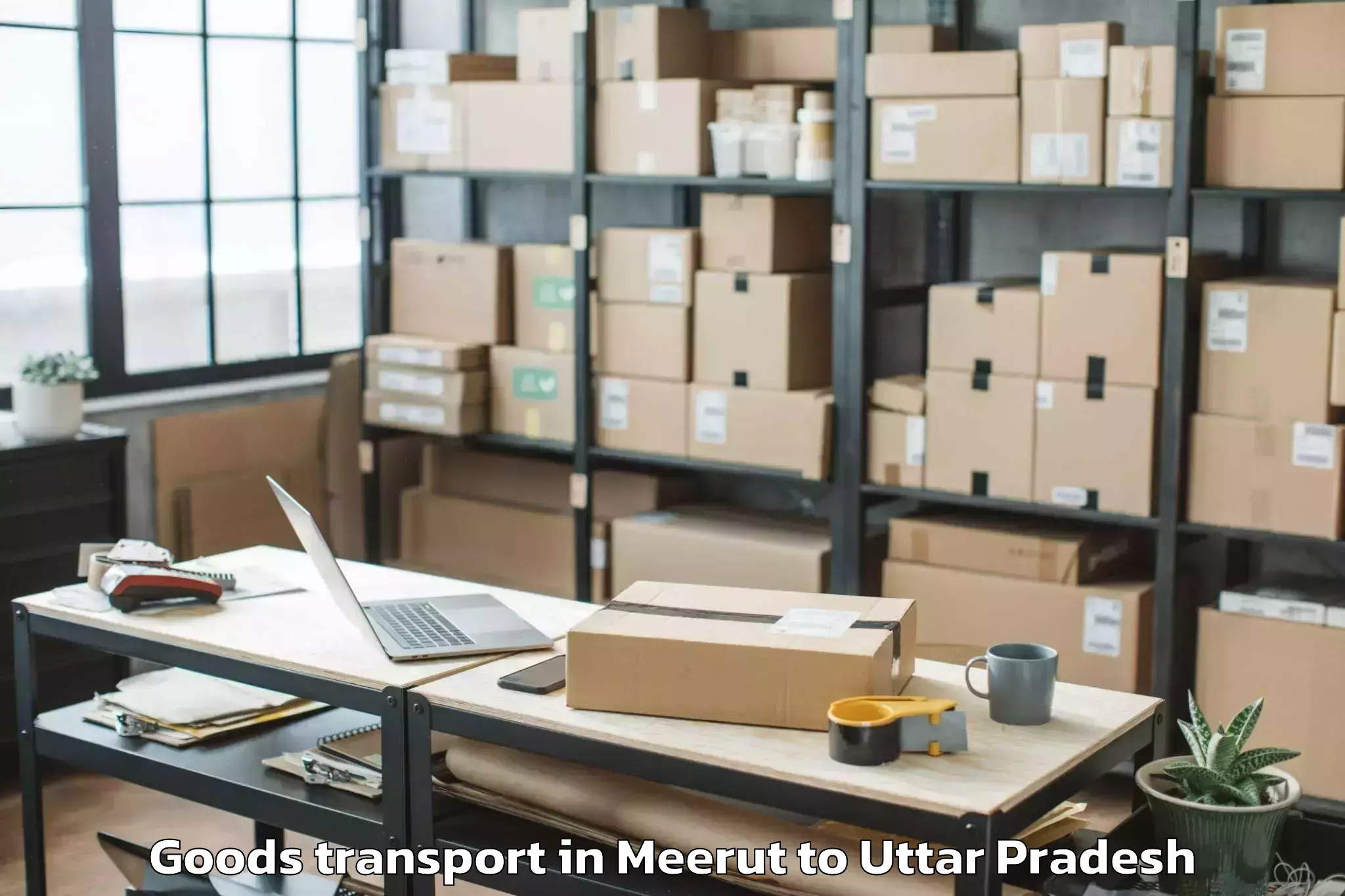 Professional Meerut to Purwa Goods Transport